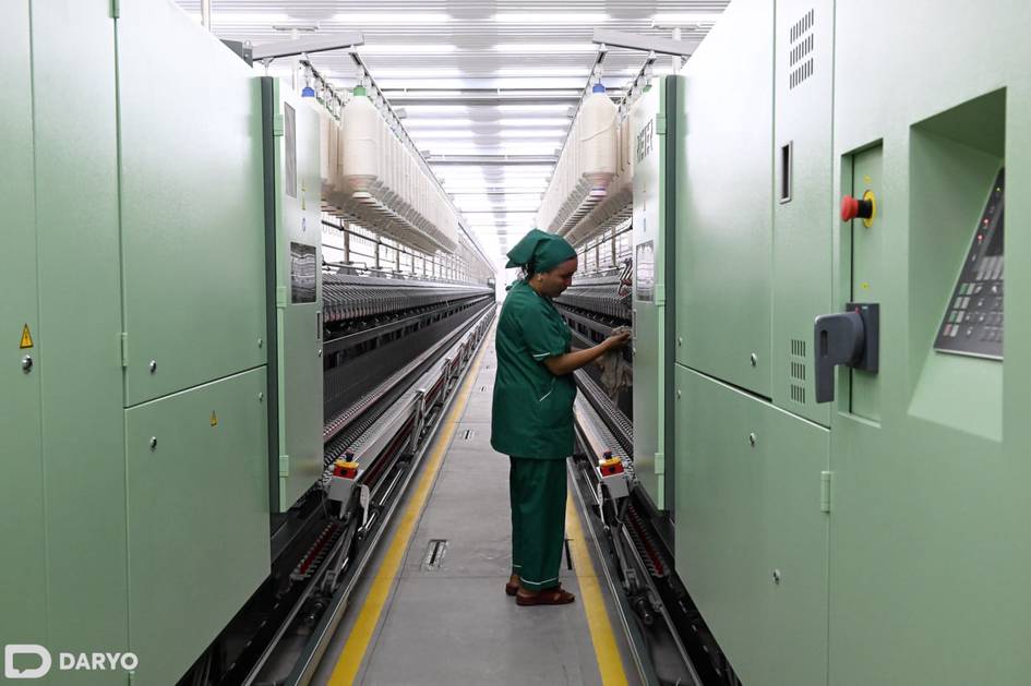 O‘zbekistonda 2030-yilgacha 200 mln tup tut ekilib, ipak eksporti 2,5 baravarga oshiriladi